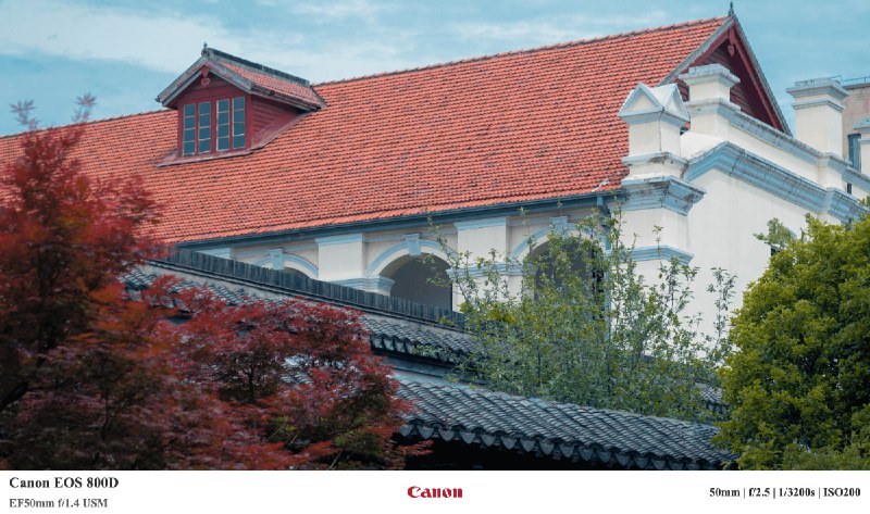 #水印 #web 无忧相机水印 为图片添加相机水印，可识别 EXIF 信息自动合成，适用于单反/微单相机拍摄的 JPEG、TIFF 等照片，支持自定义参数数据，支持批量处理，免费使用，无需注册