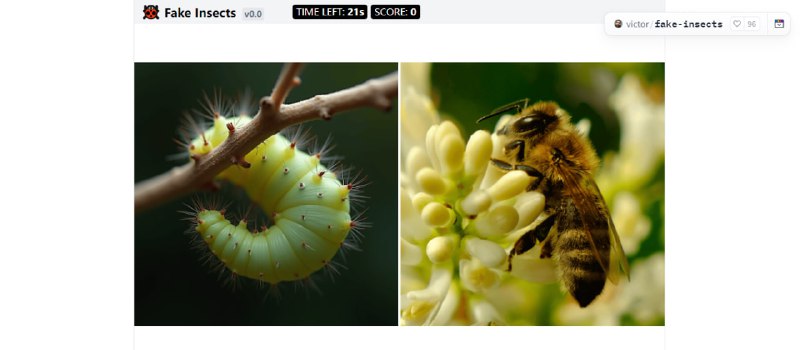 #趣站 Fake Insects 一个很有意思的小游戏，需要在两张昆虫图片中，识别出由 AI 生成的假昆虫，我最多就蒙对两三张，根本分辨不出真假，闲的无聊可以去玩玩