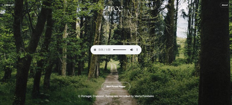 #白噪音 #趣站 #web tree.fm 一个记录森林声音的网站，由世界各地的用户上传，可以随机播放聆听，声音多种多样，最多的是鸟叫，也有雨声，清泉，动物声，以及一些嘈杂的声音，有一种与城市轰鸣不一样的安静