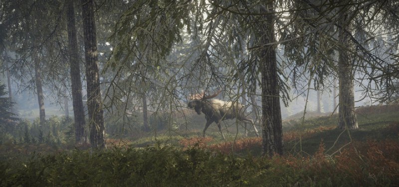 #epic #游戏 #限免 #羊毛 🎮 本周 Epic 游戏限免 🏆 猎人：荒野的召唤 💵 原价 70 元 📅 截止 06 月 29 日 23:00无法领取更多游戏的解决办法 🪐频道 @WidgetChannel📮投稿 @WidgetPlusBot