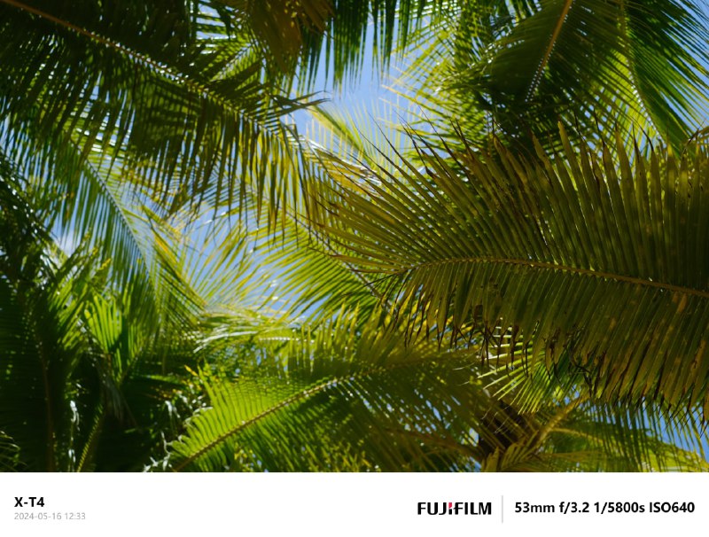 #拍照 #水印 #开源 EXIF Frame 为照片添加相机水印，可自定义相机品牌 / 型号 / 拍摄时间 / 拍摄地点 / 光圈 / 快门 / ISO 等信息，以及白条高度和品牌图片大小，可直接下载，完全免费，无需注册