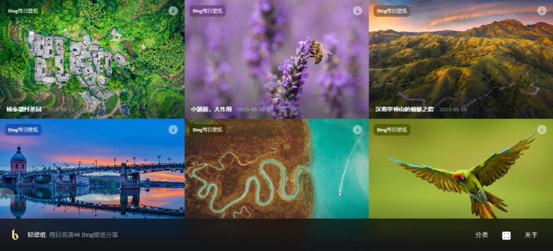 #壁纸 轻壁纸 Bing 高清壁纸分享站，每日自动更新 4K Bing 壁纸，涵盖自然风光、城市建筑、动物等多种主题，所有壁纸均为横屏高清格式，适合电脑桌面使用，免费无广告，无需注册